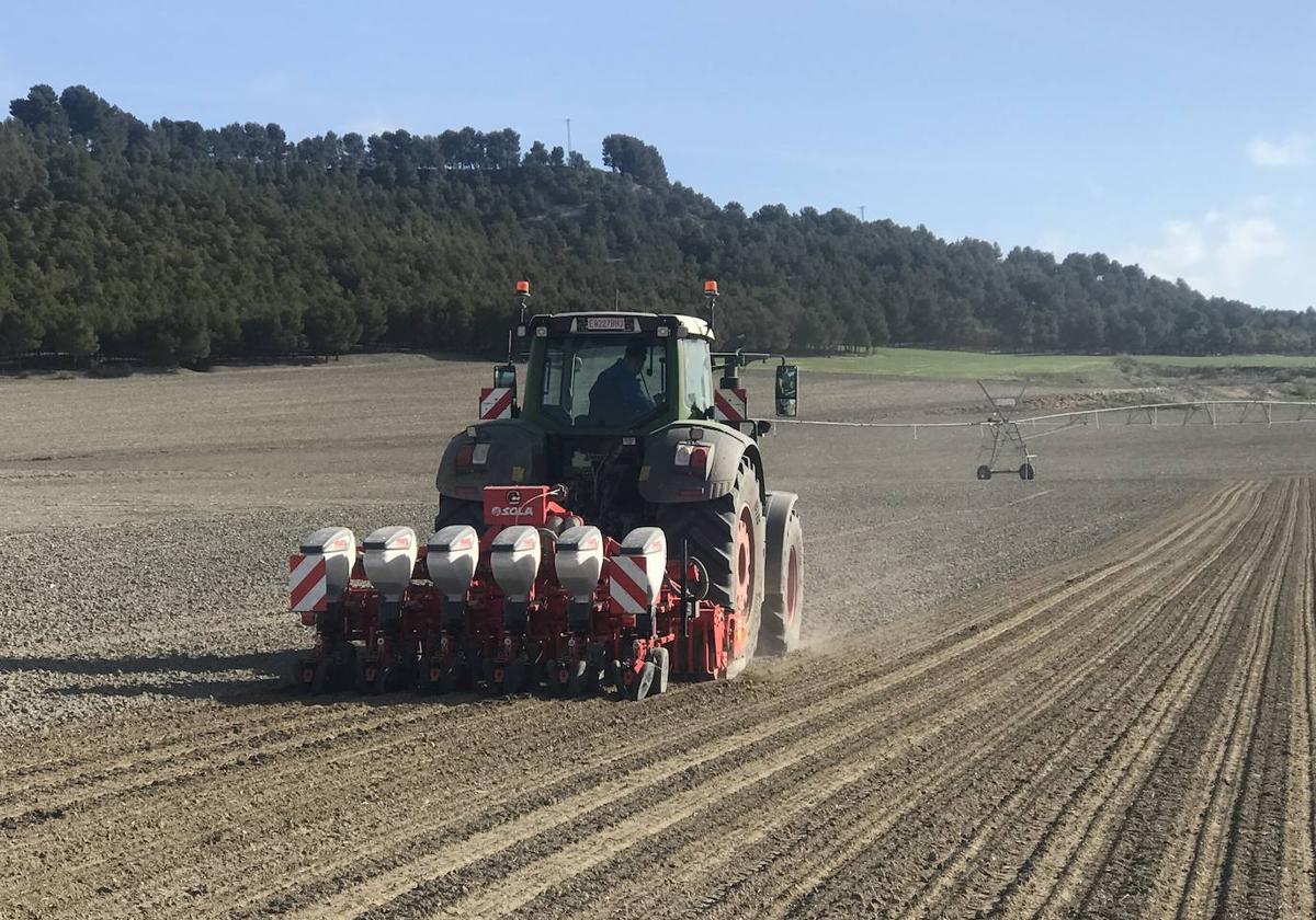 Labores de siembra en una explotación agrícola de la región.