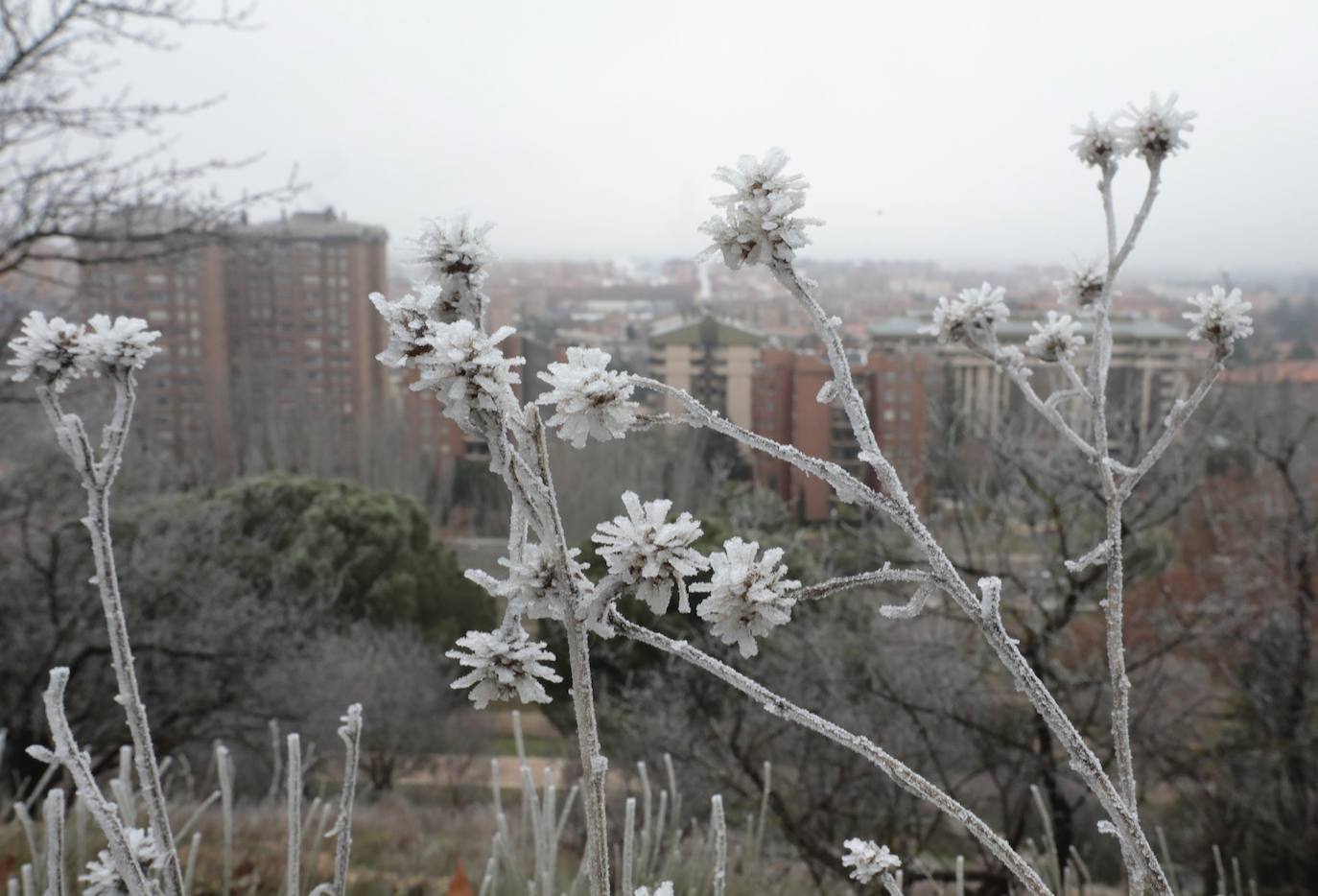 La ciudad amanece de nuevo cubierta de hielo