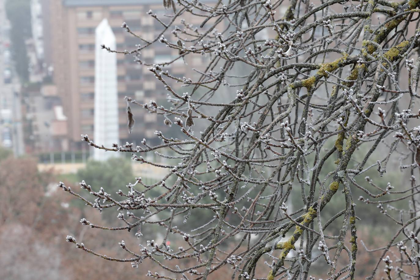 La ciudad amanece de nuevo cubierta de hielo