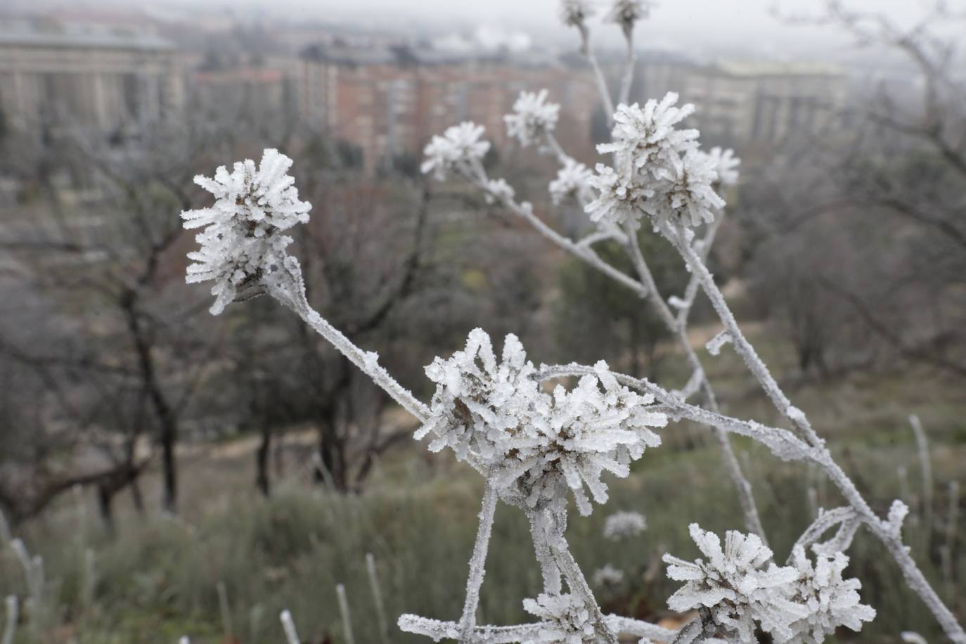 La ciudad amanece de nuevo cubierta de hielo