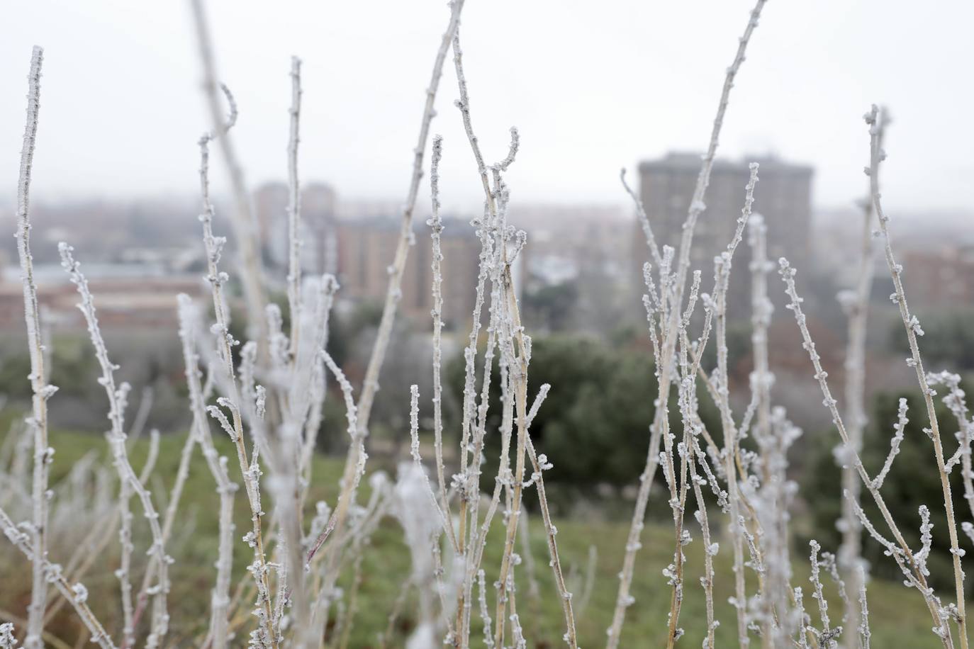 La ciudad amanece de nuevo cubierta de hielo