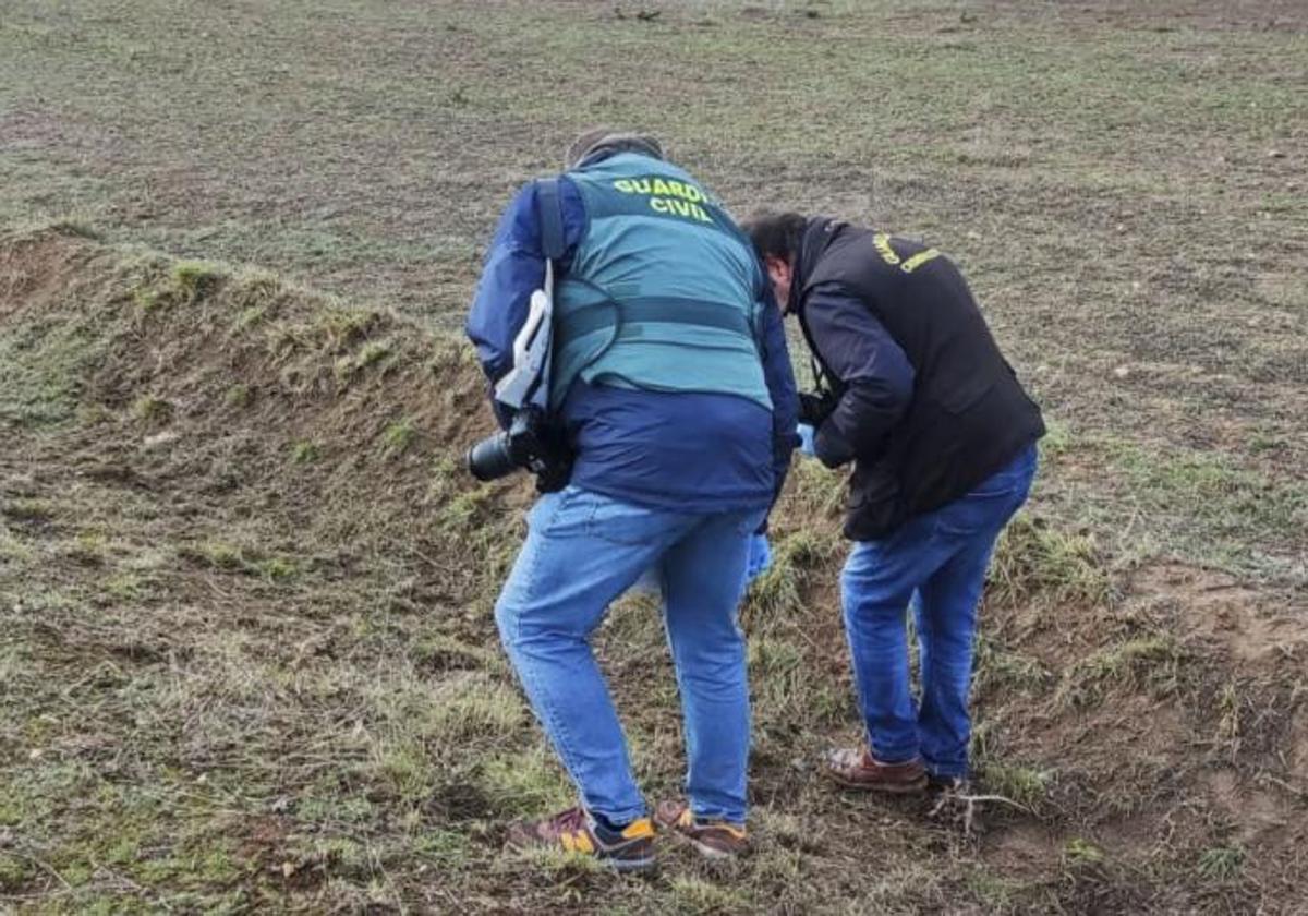 Agentes de la Guardia Civil investigan la muerte de una joven de Roales del Pan (Zamora) en el lugar del suceso.