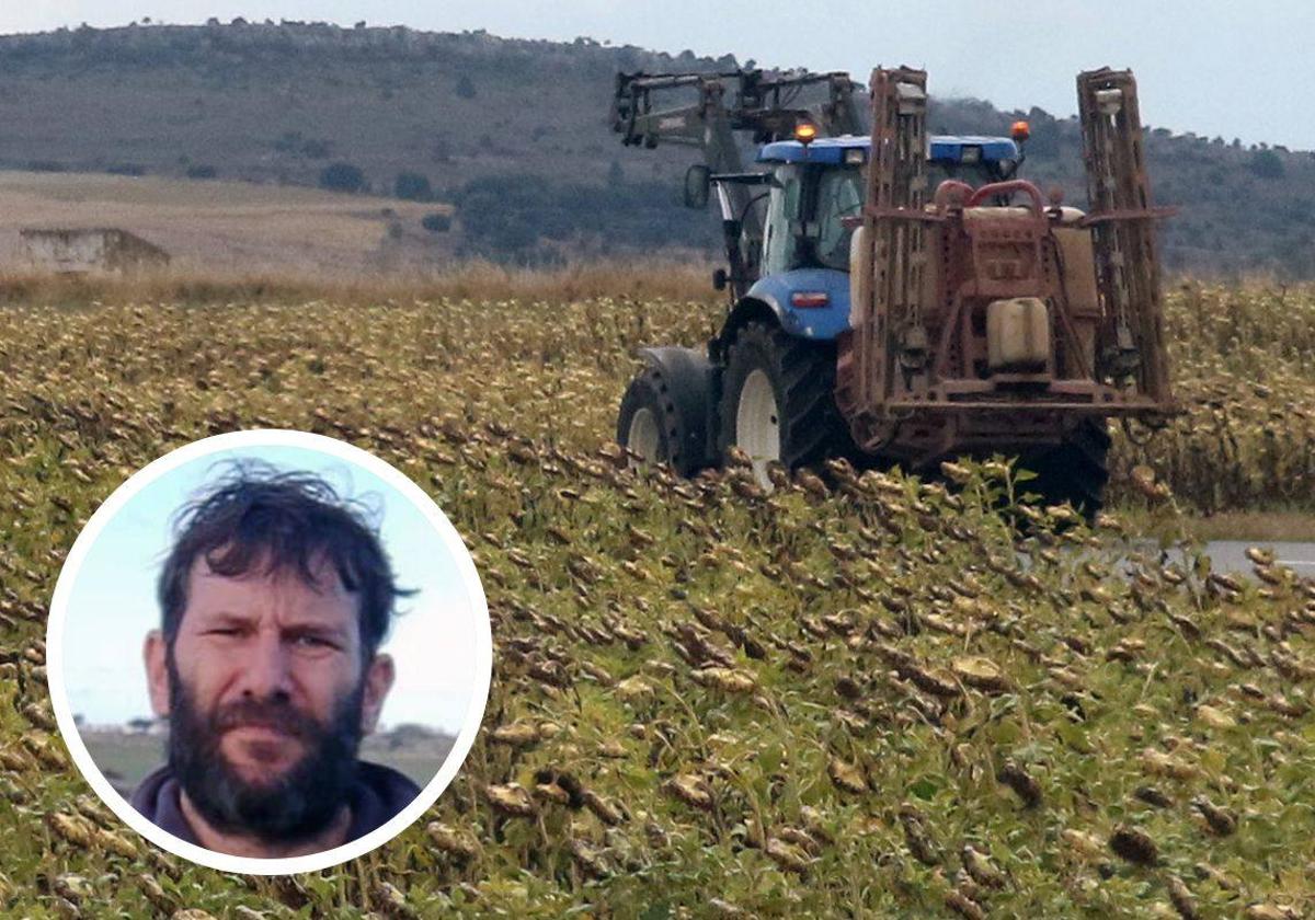 En grande, un tractor en un campo de girasoles; en pequeño, el presidente de UCCL Segovia, César Acebes.