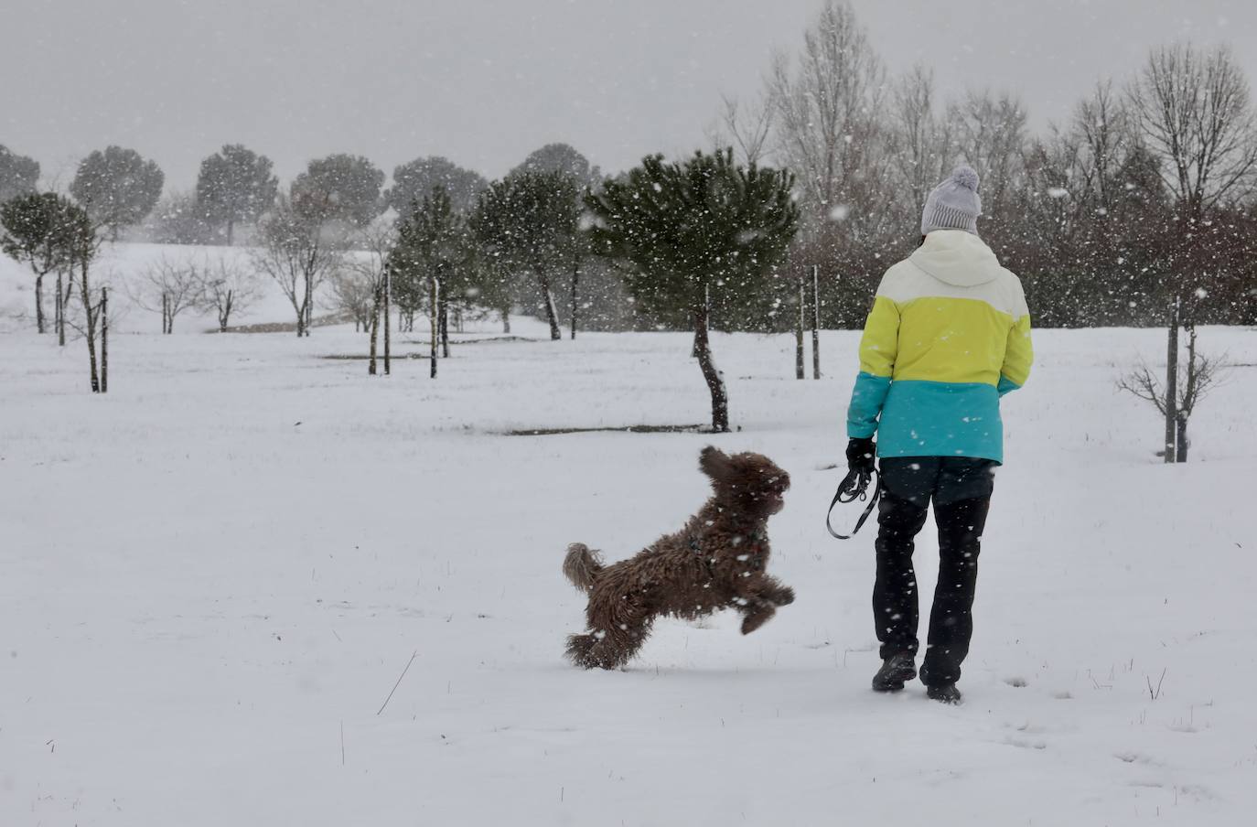 Paisaje nevado en el cerro de las Contiendas de Valladolid.