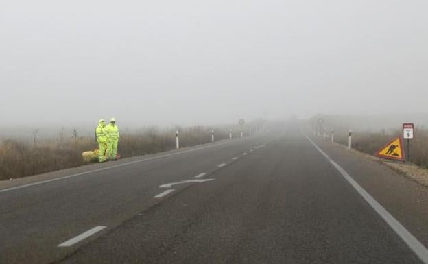 Los consejos de la DGT para conducir con niebla