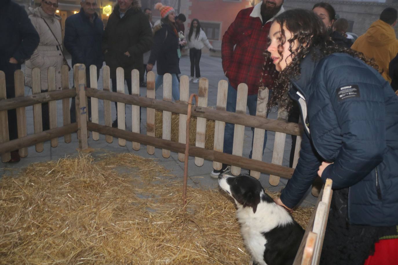 Fotos: Cabalgata de Reyes en Baltanás