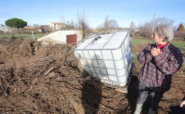 Una vecina de Aldeatejada lamenta las pérdidas de su huerta. 