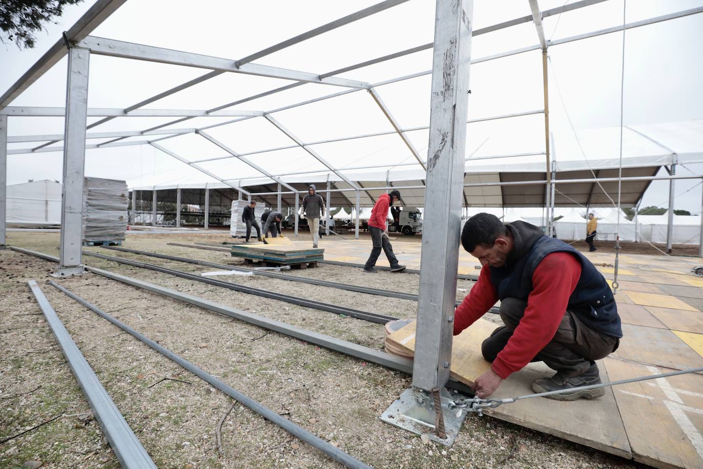 Instalación de la carpa principal de Pingüinos 2023