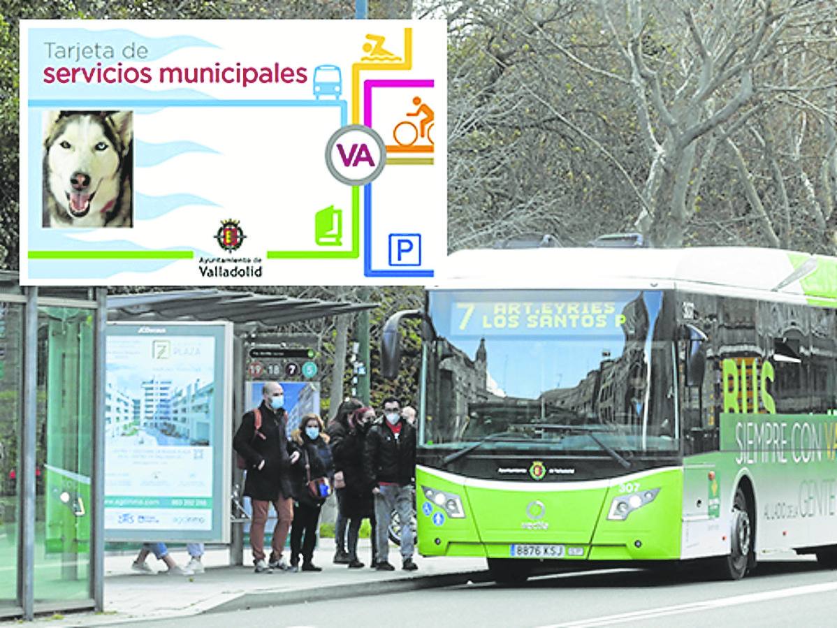 Usuarios de autobús en Valladolid y, arriba, el título de transporte para perros. 