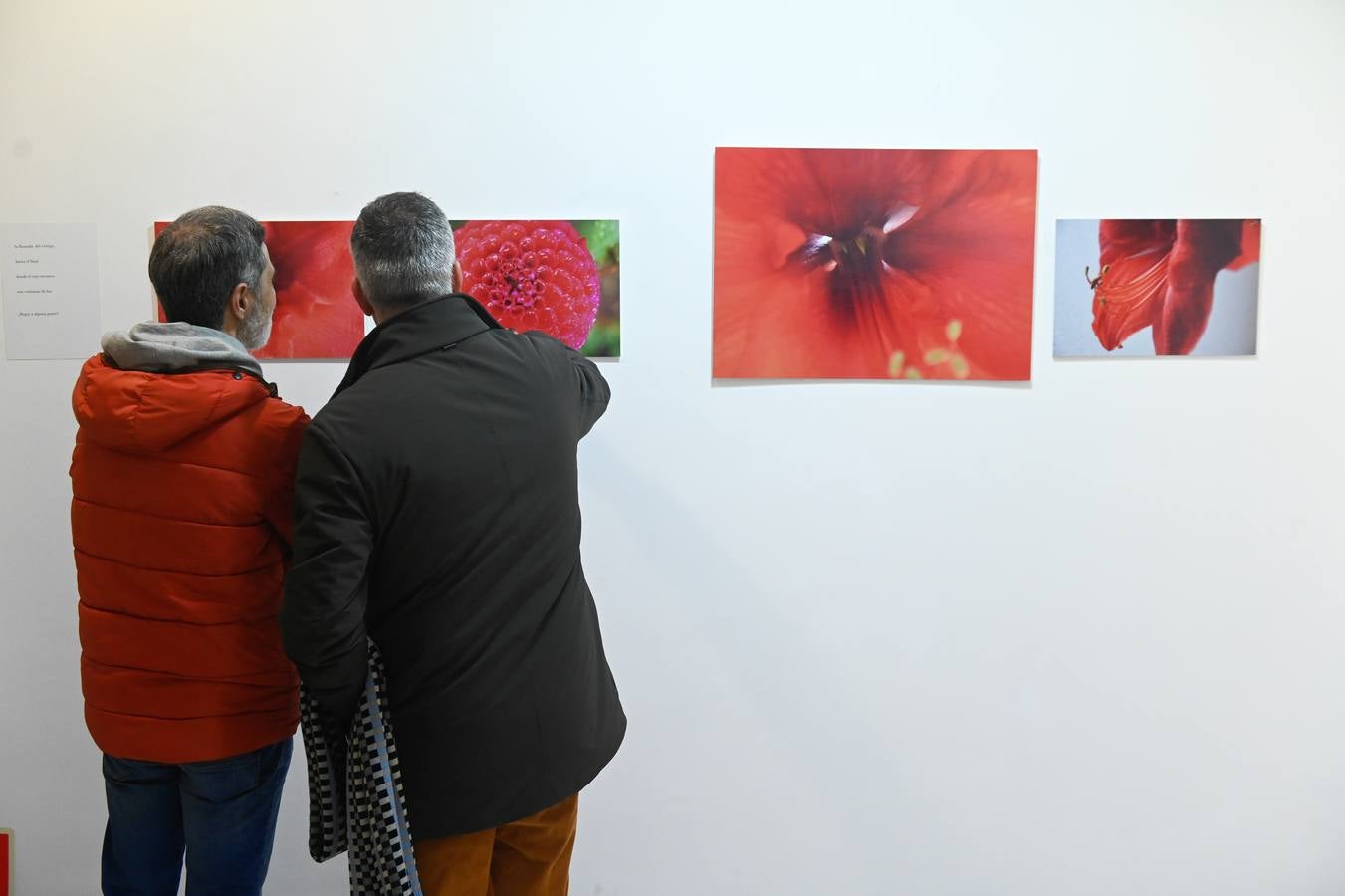 Fotos: La naturaleza se asoma a las fotografías de Luis Marigómez