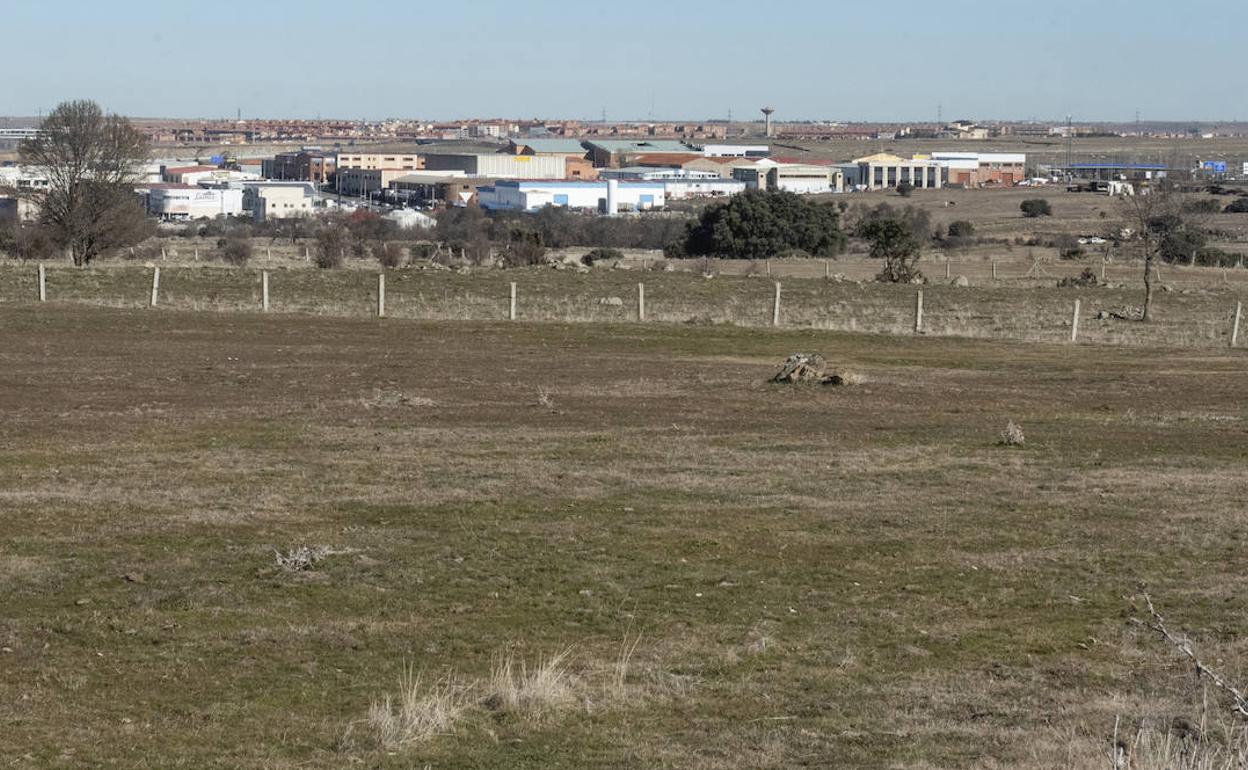 Terrenos del futuro área industrial de Prado del Hoyo, junto al polígono de Hontoria.