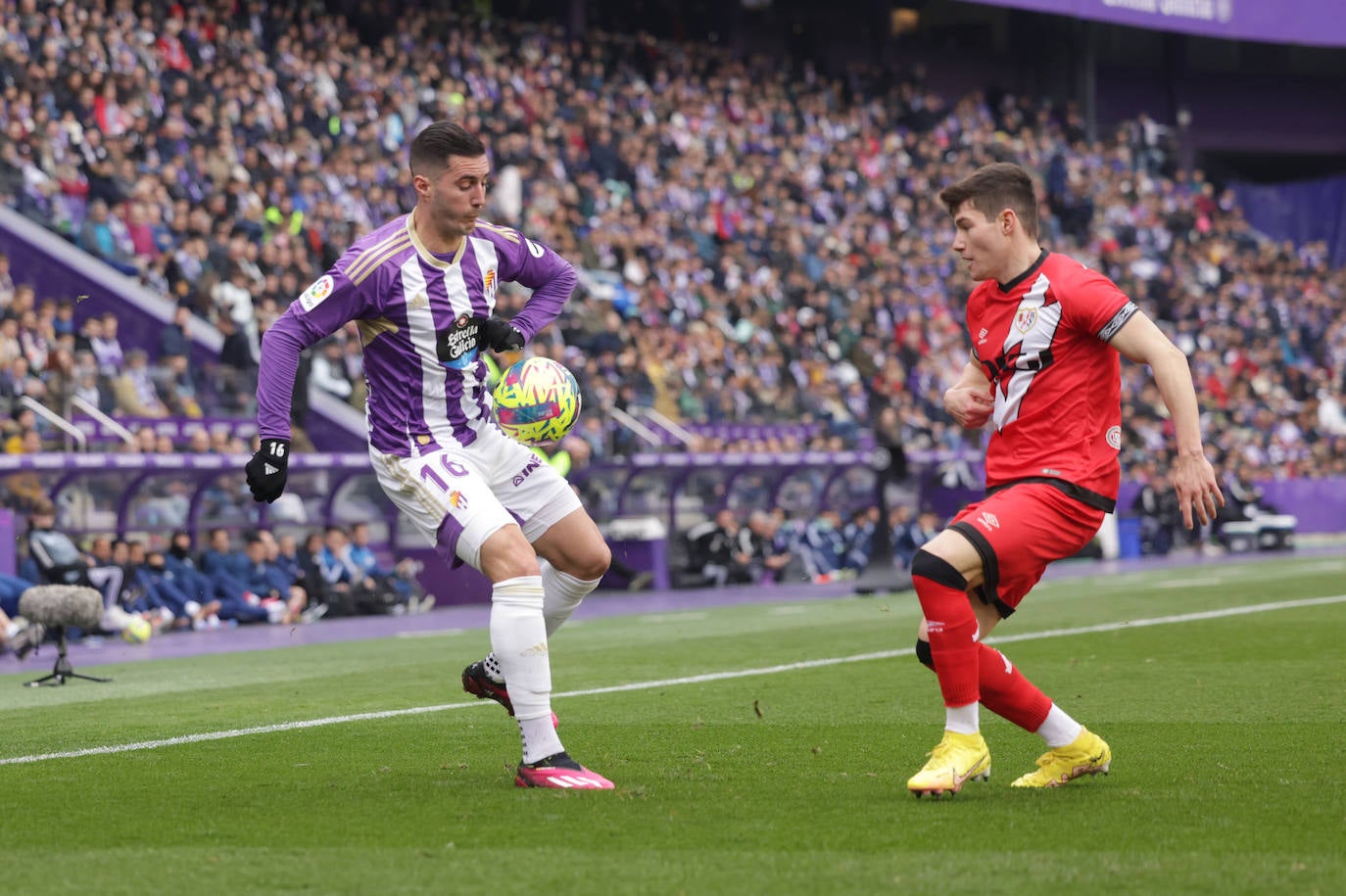 Fotos: Las fotos del Real Valladolid 0-1 Rayo Vallecano (1/2)