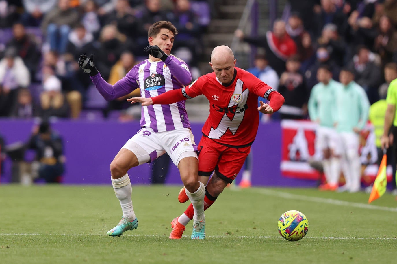 Fotos: Las fotos del Real Valladolid 0-1 Rayo Vallecano (2/2)