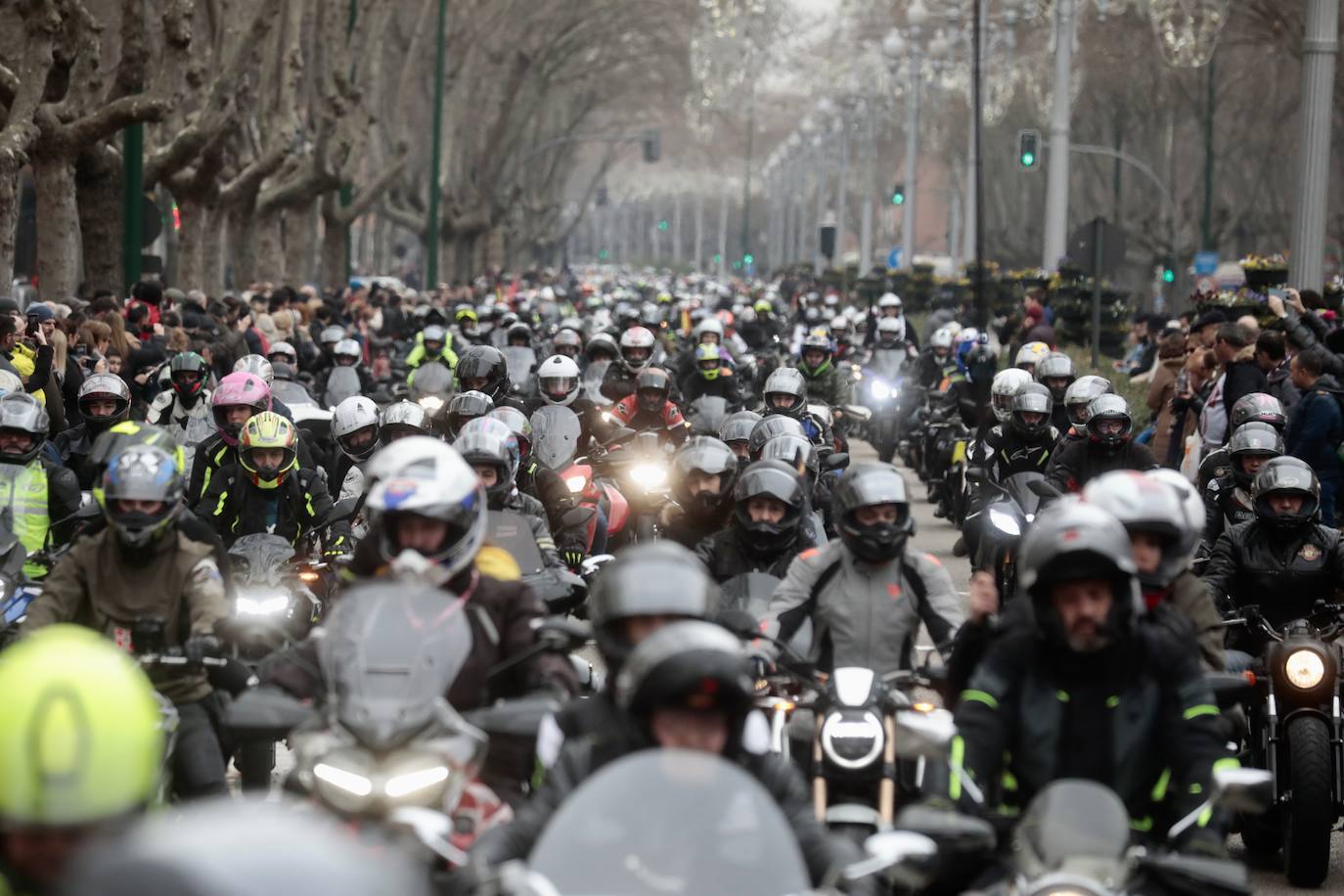 Fotos: Desfile de banderas en Pingüinos 2023 (2/4)