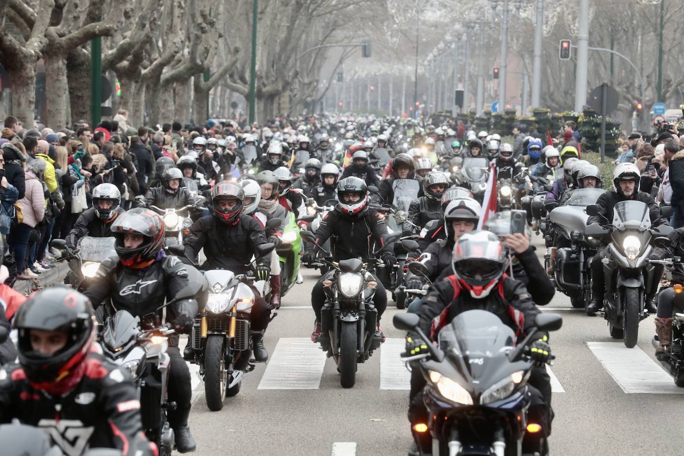 Fotos: Desfile de banderas en Pingüinos 2023 (2/4)