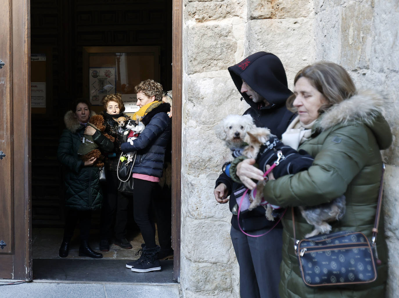 Fotos: Bendición de animales en Palencia