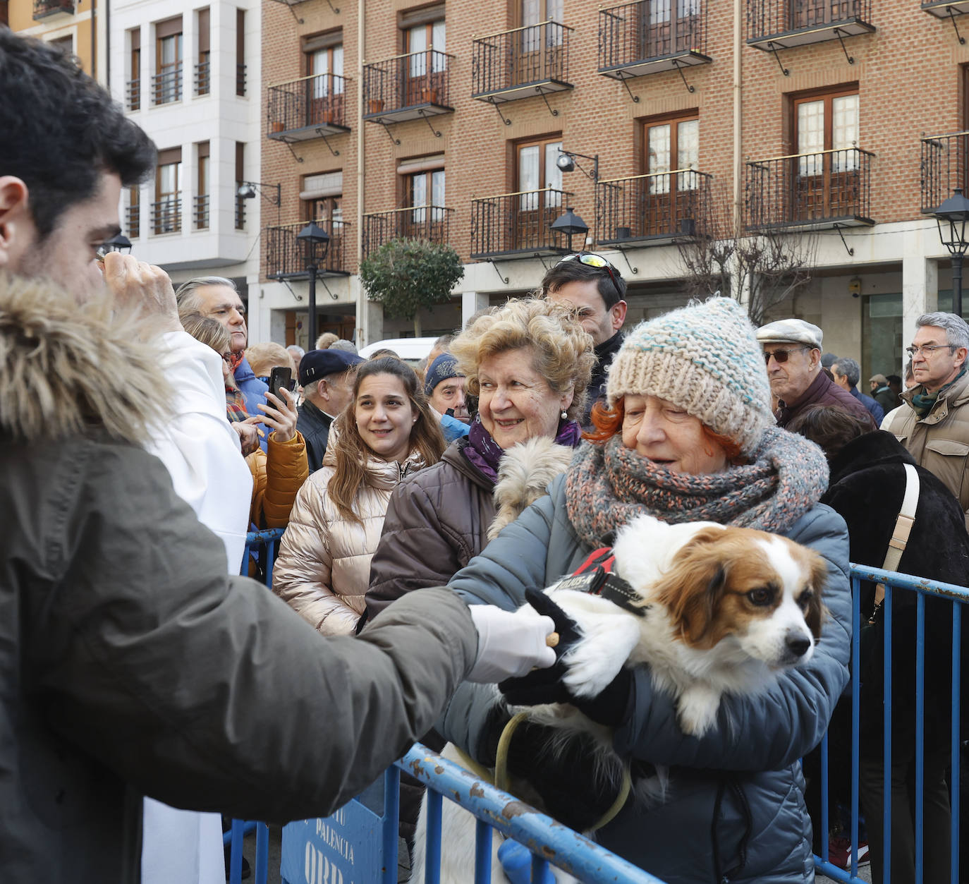 Fotos: Bendición de animales en Palencia