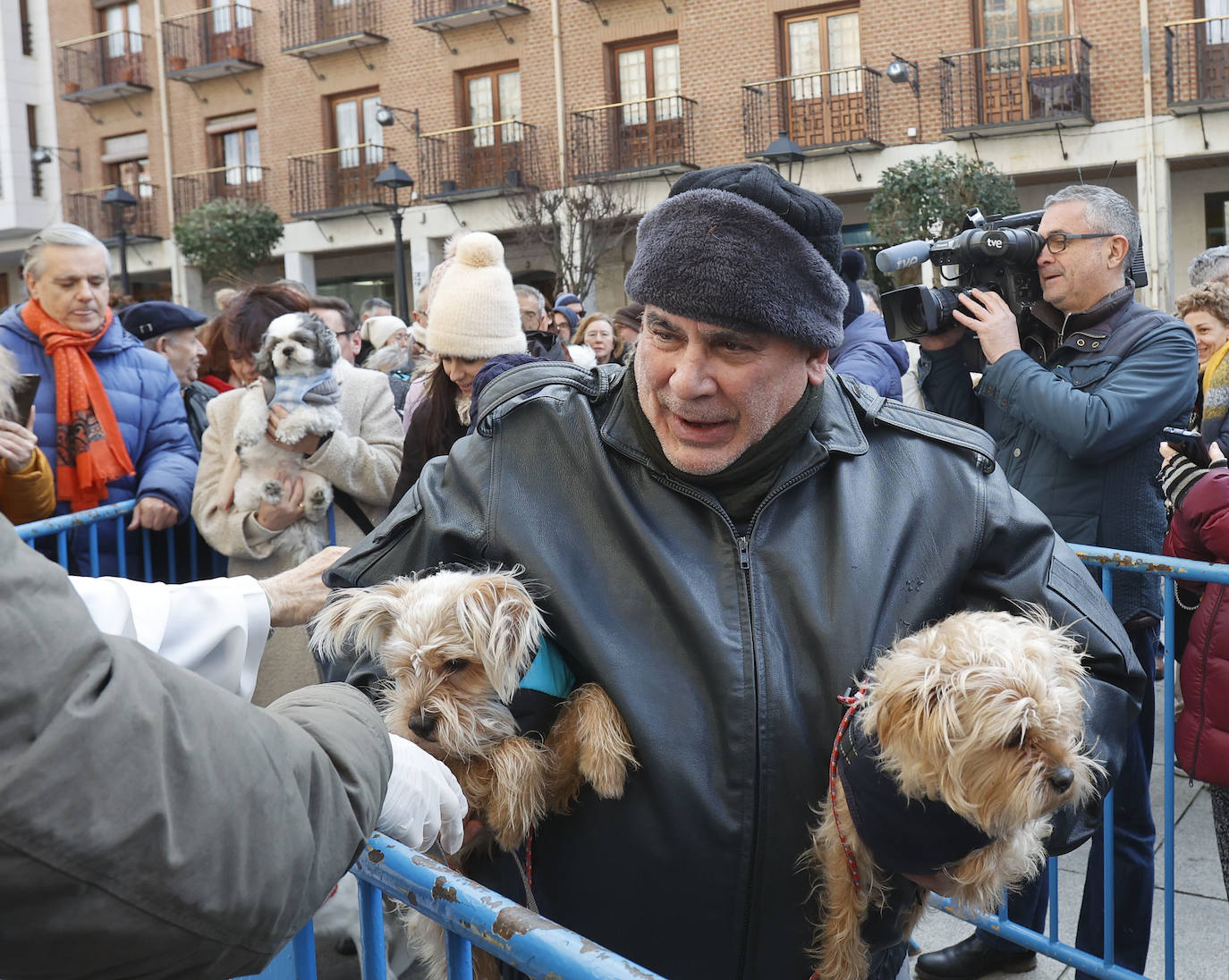 Fotos: Bendición de animales en Palencia