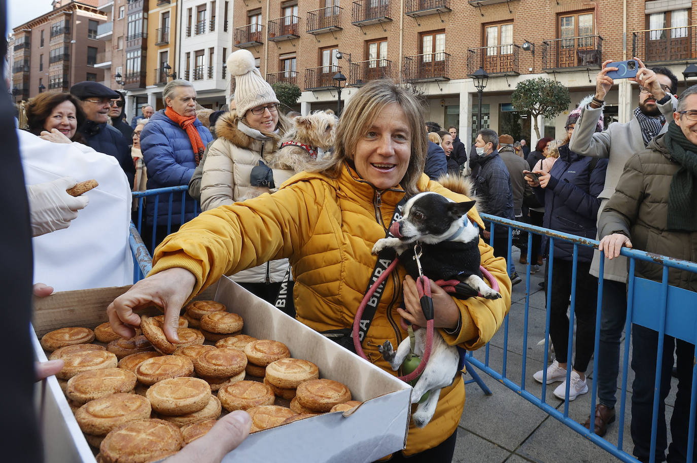 Fotos: Bendición de animales en Palencia