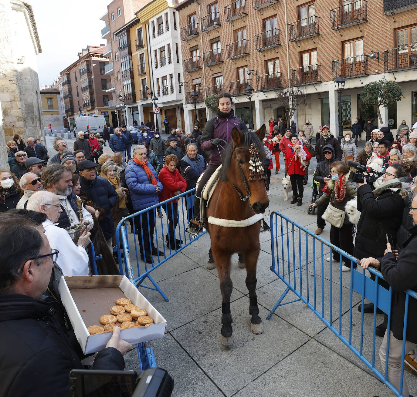 Fotos: Bendición de animales en Palencia