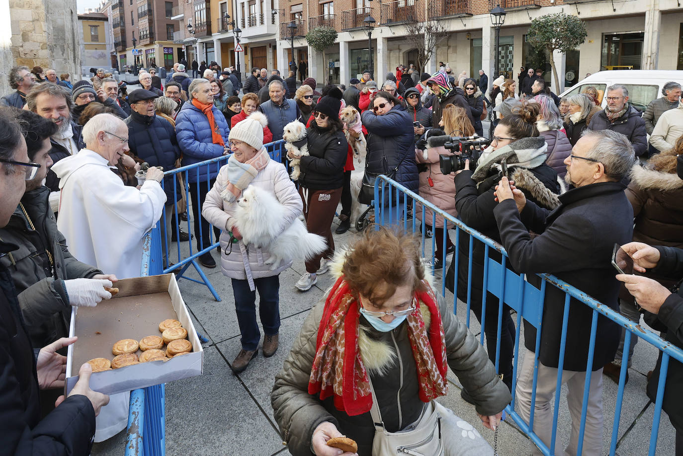 Fotos: Bendición de animales en Palencia