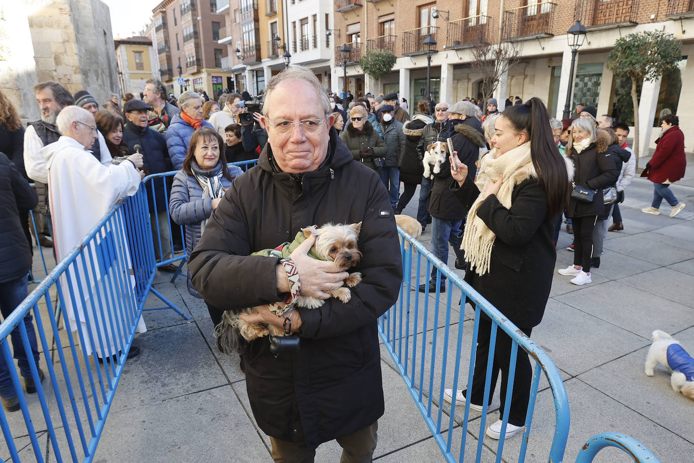 Fotos: Bendición de animales en Palencia