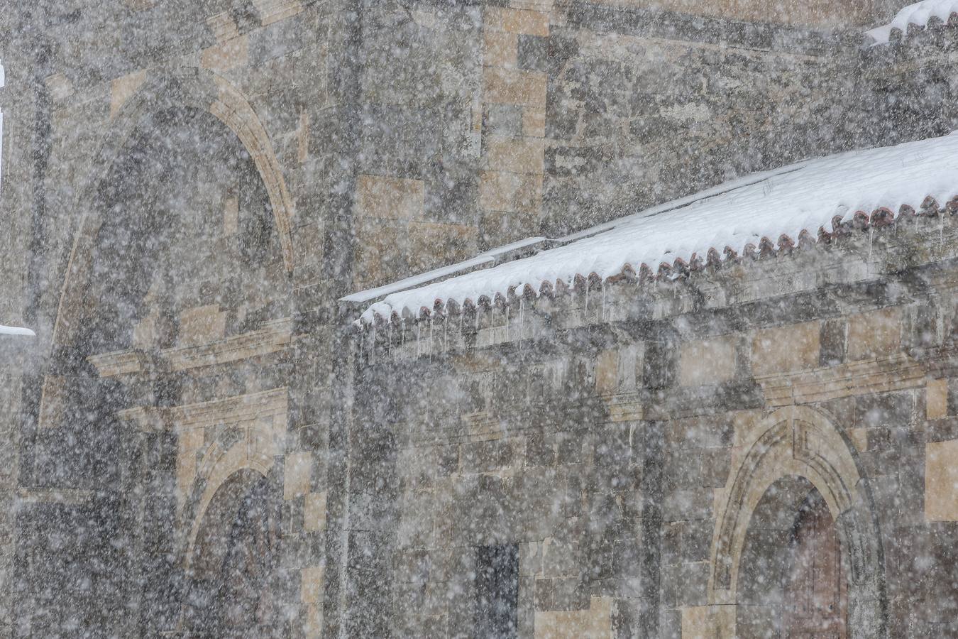 Fotos: Llegan las primeras nieves a Castilla y León