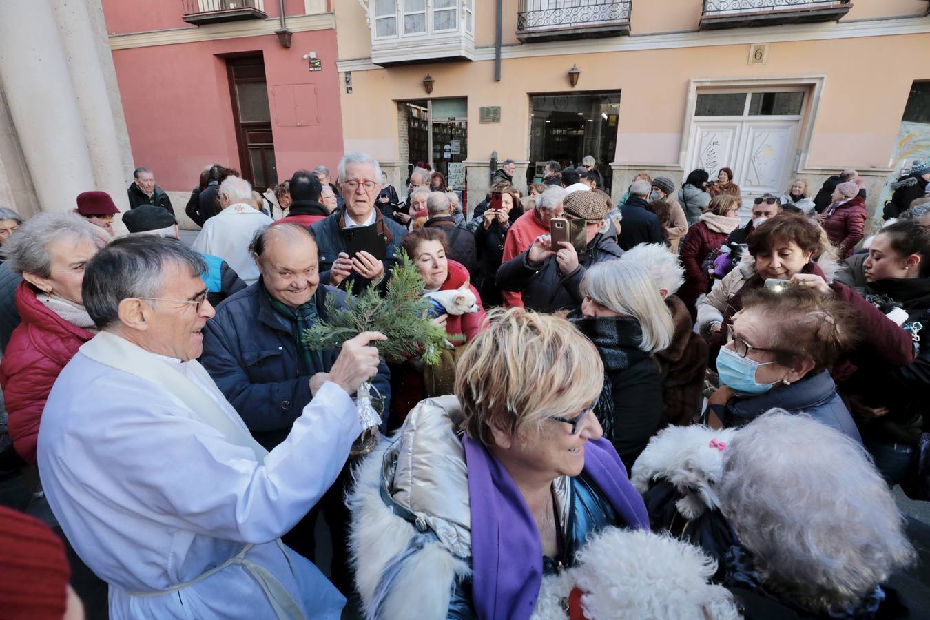 Fotos: Bendición de animales por San Antón en Valladolid