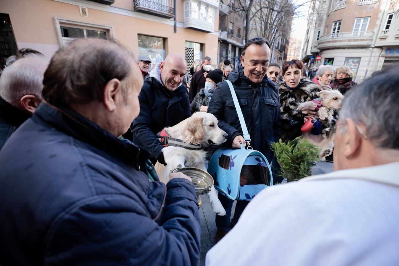 Fotos: Bendición de animales por San Antón en Valladolid