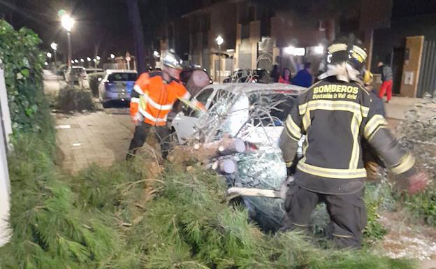 Árbol caído sobre un coche en Laguna de Duero. 