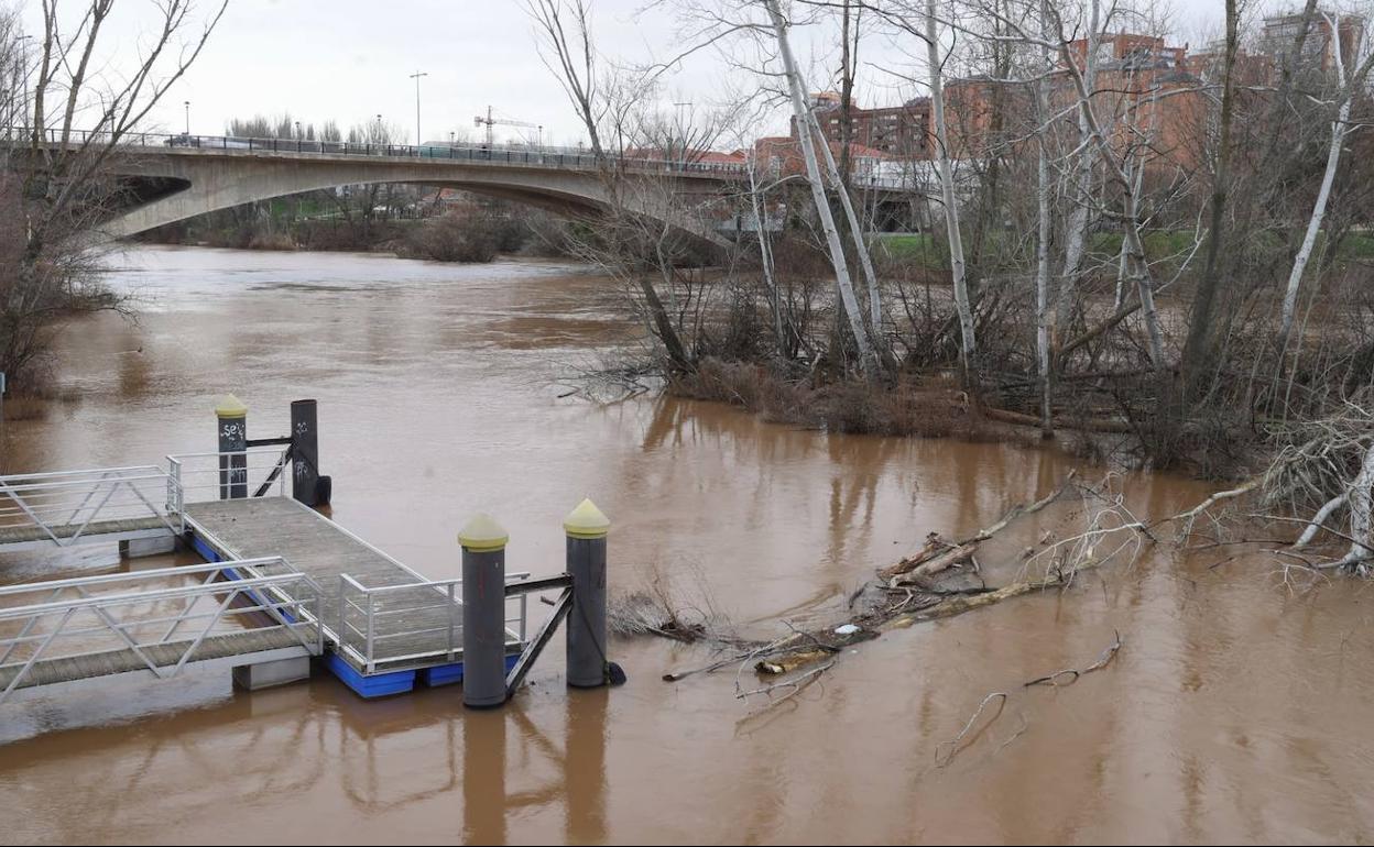 El Pisuerga, este jueves, a su paso por el puente de Juan de Austria y el Museo de la Ciencia. 