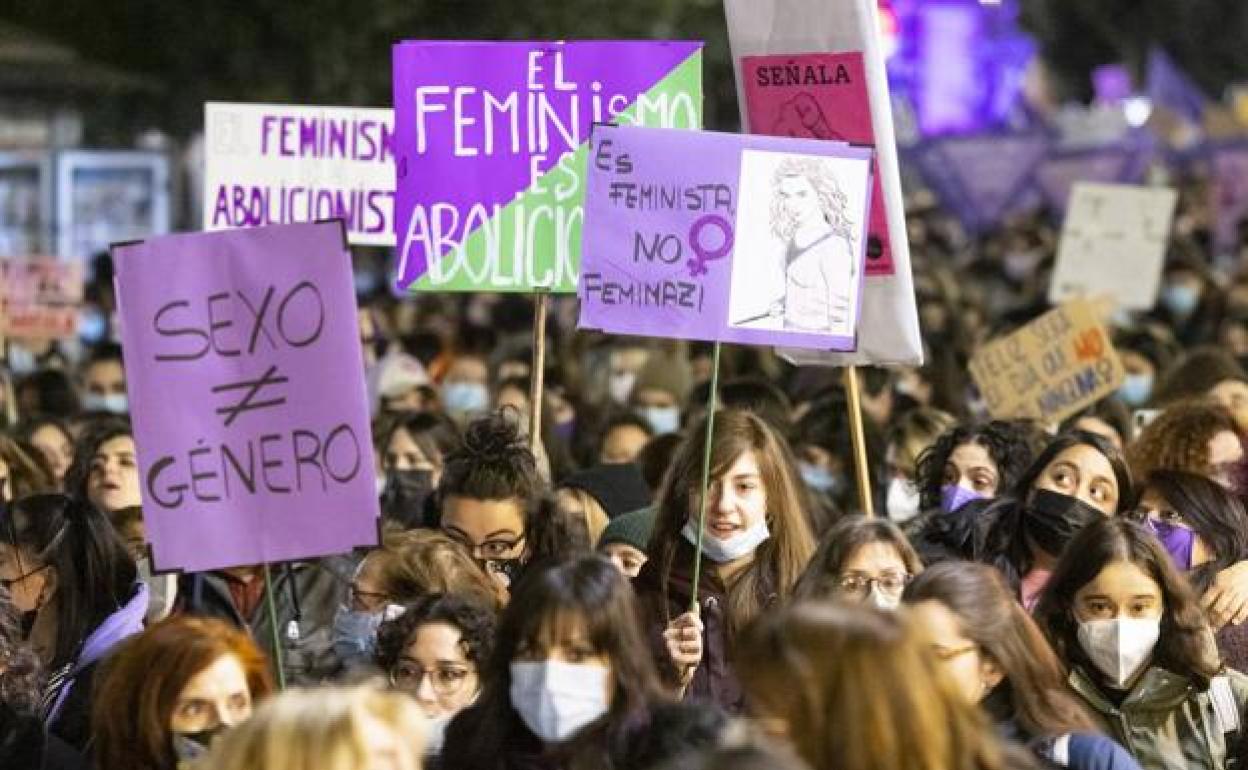 Manifestación feminista en Valladolid.