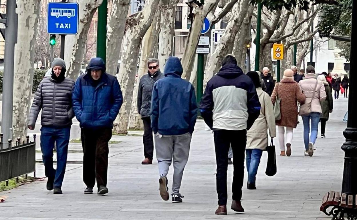 El mercurio apenas superaba los tres grados al mediodía en Valladolid. 