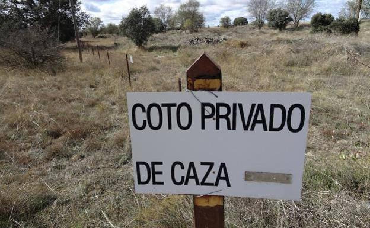 Coto de Villalba de los Alcores, próximo a la carretera de Mucientes. 