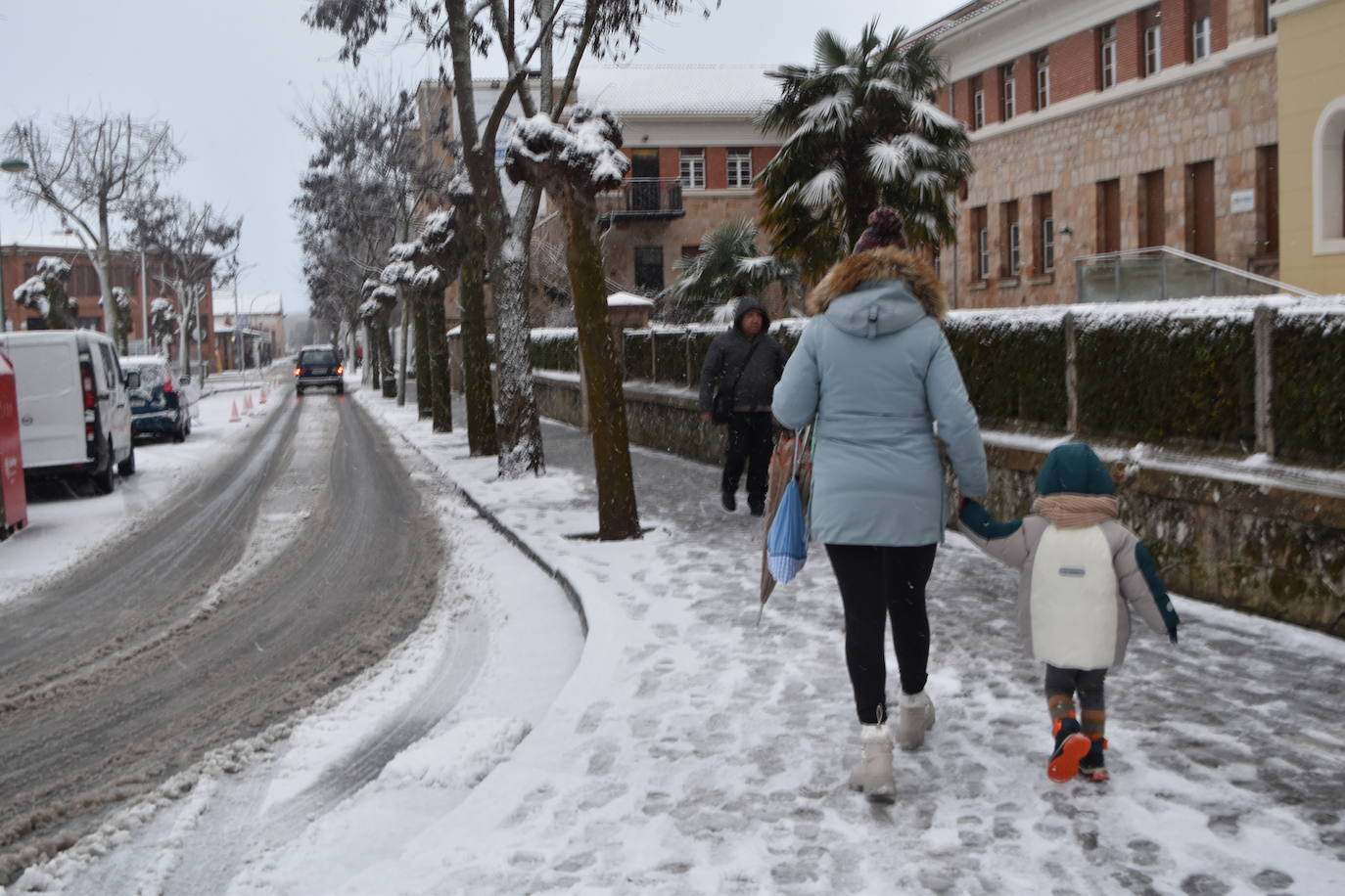 Fotos: Segunda nevada en 2023 en la provincia de Palencia