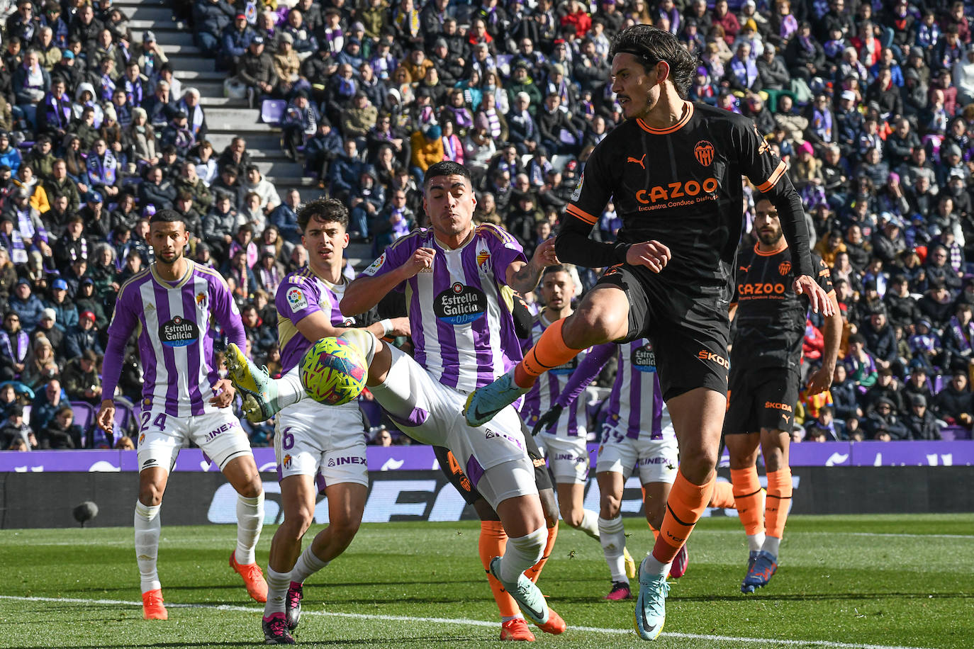 Fotos: El partido entre el Real Valladolid y el Valencia, en imágenes (1/2)