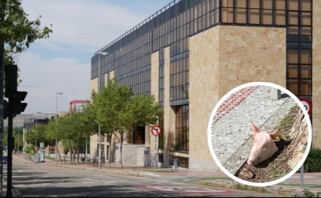 La Facultad de Derecho de Salamanca. 