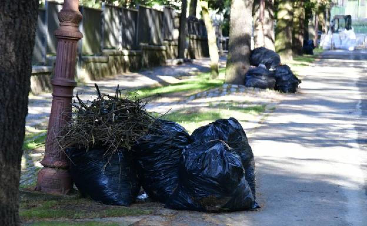 Bolsas con residuos vegetales en una de las calles de Los Ángeles de San Rafael. 