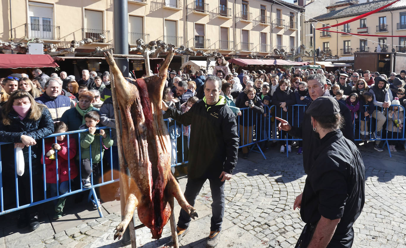 El quemado y despiece del cerdo, la degustación de chichurro y el concurso de cocina en directo de Platos del Cerdo colman de actividades la Plaza Mayor