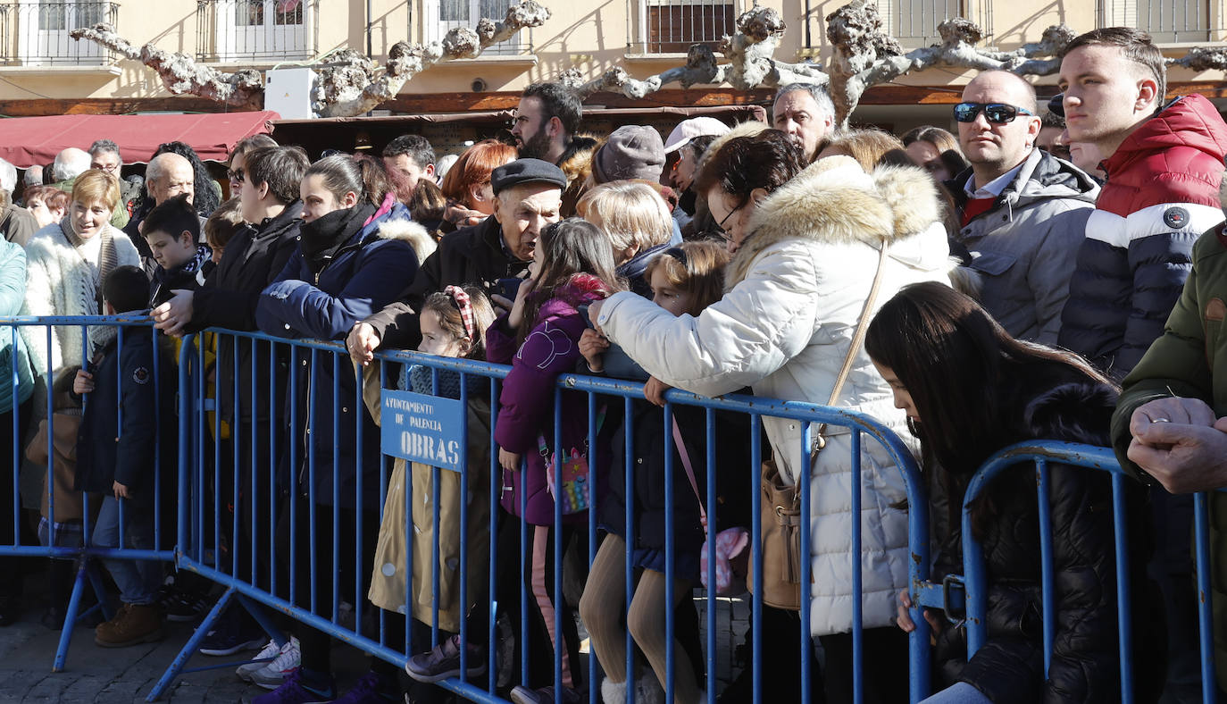 El quemado y despiece del cerdo, la degustación de chichurro y el concurso de cocina en directo de Platos del Cerdo colman de actividades la Plaza Mayor