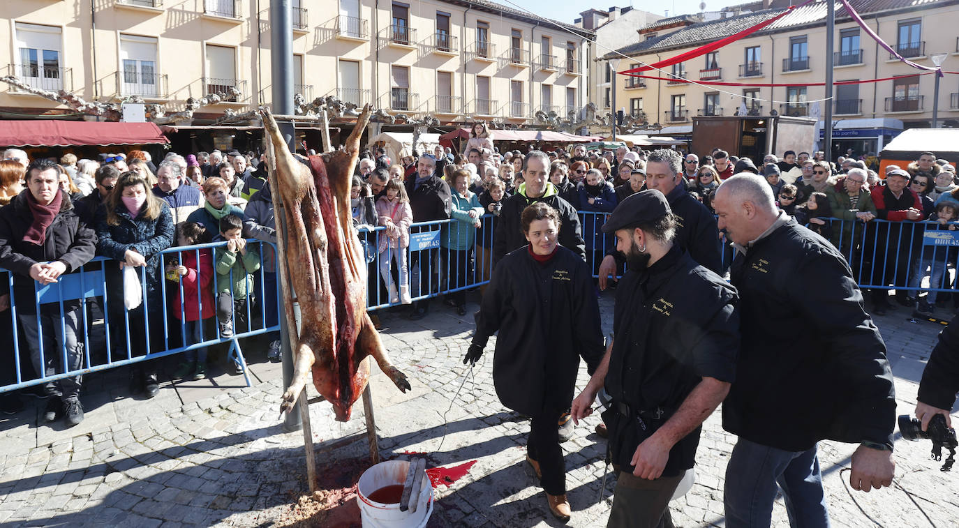 El quemado y despiece del cerdo, la degustación de chichurro y el concurso de cocina en directo de Platos del Cerdo colman de actividades la Plaza Mayor