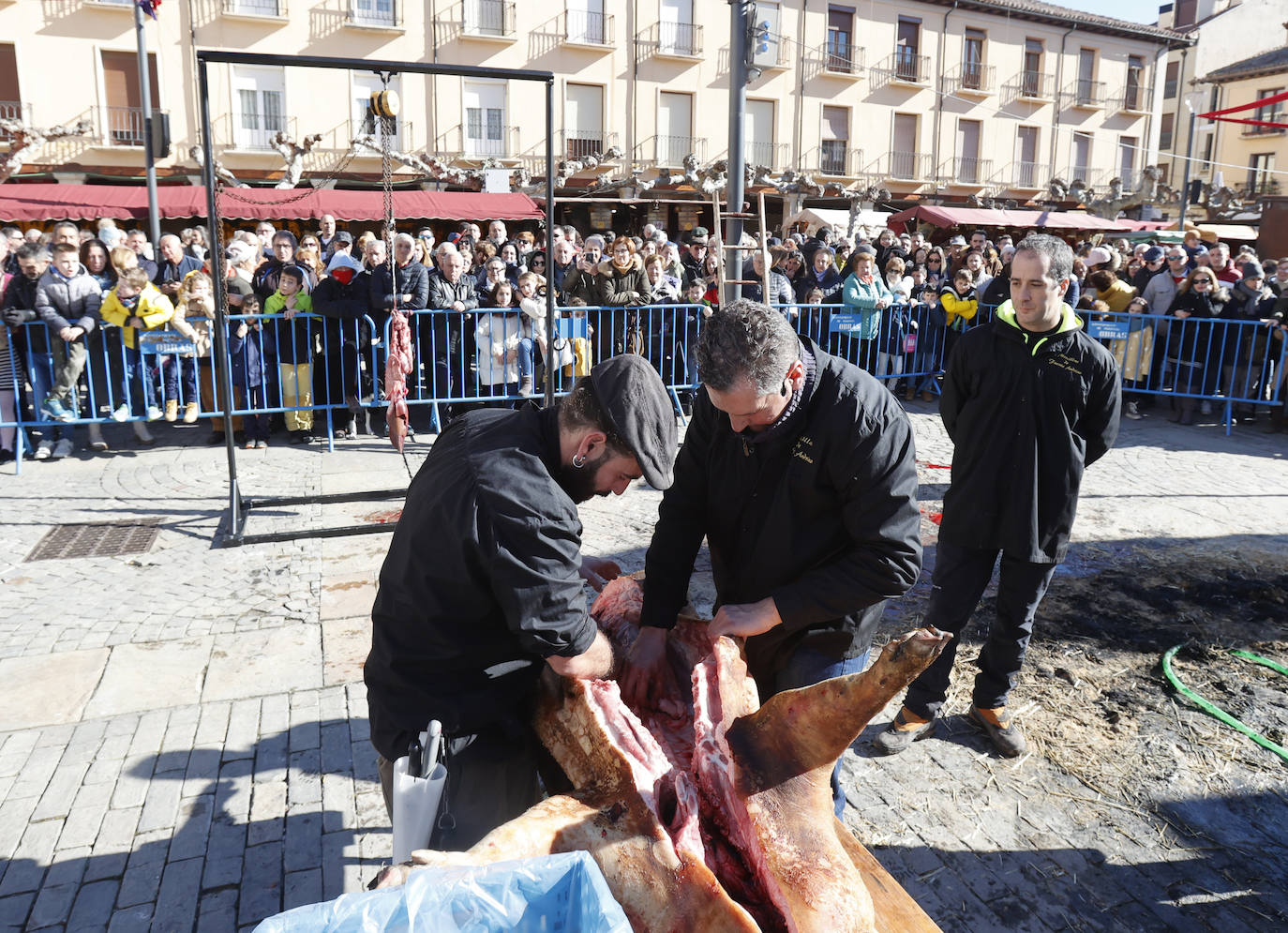 El quemado y despiece del cerdo, la degustación de chichurro y el concurso de cocina en directo de Platos del Cerdo colman de actividades la Plaza Mayor