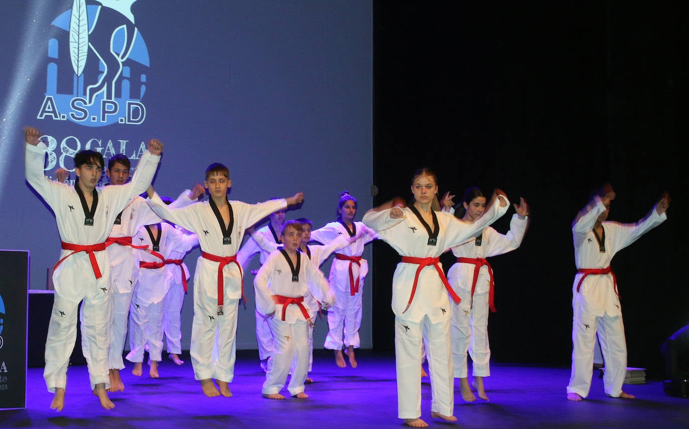 Gala del Deporte en Segovia. 