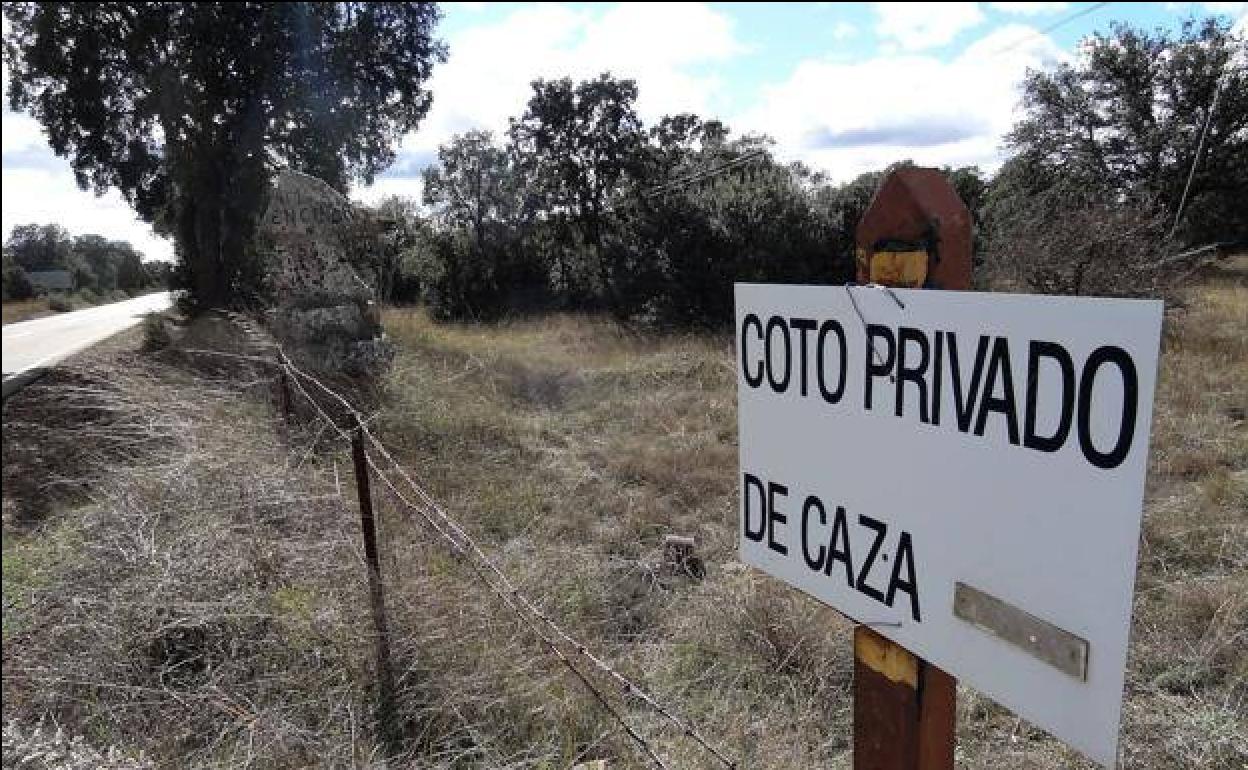 Tres años sin cazar por matar de noche a un corzo en Palencia