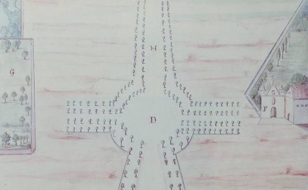 Plantación de Floridablanca. Por la carretera de Cabezón desde la puerta de Santa Clara hasta el Carmen de extramuros. Año 1785.