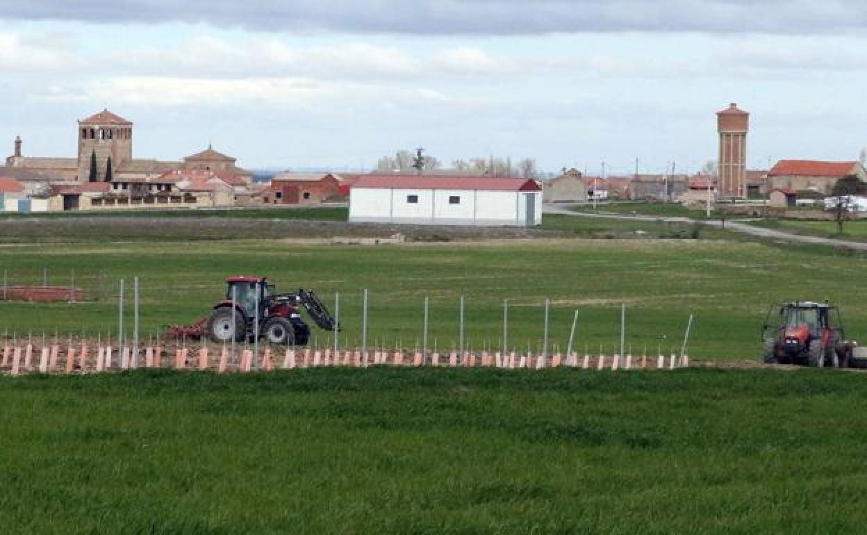 Dos tractores realizan labores en una tierra de cultivo de la provincia de Segovia. 