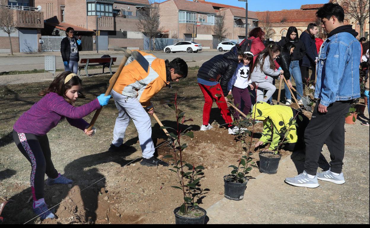 Unos niños cavan con la azada el agujero en la tierra en el que plantar los árboles. 