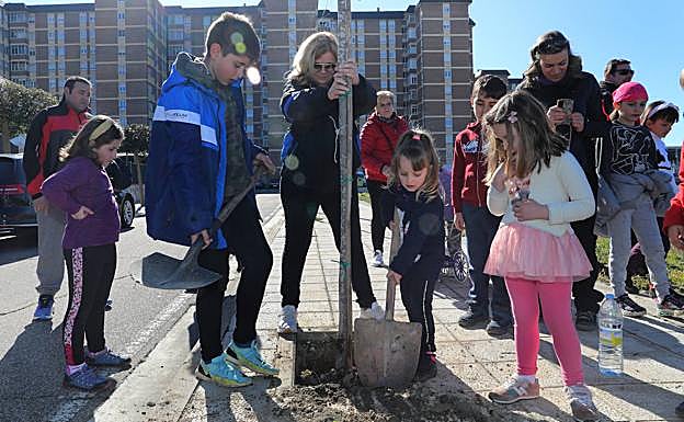 Plantación de uno de los árboles. 