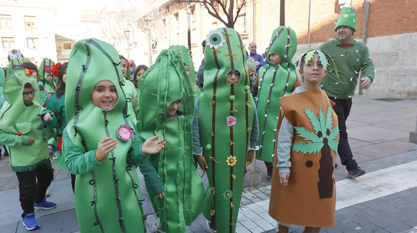 Fotos: El cambio climático en el colegio Jorge Manrique y el traje palentino, en Filipenses