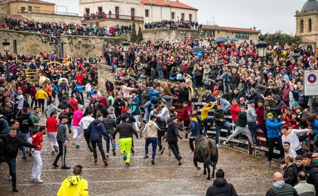 Un momento del encierro en Ciudad Rodrigo. 